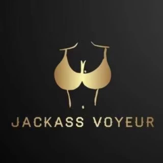 Jackass Voyeur